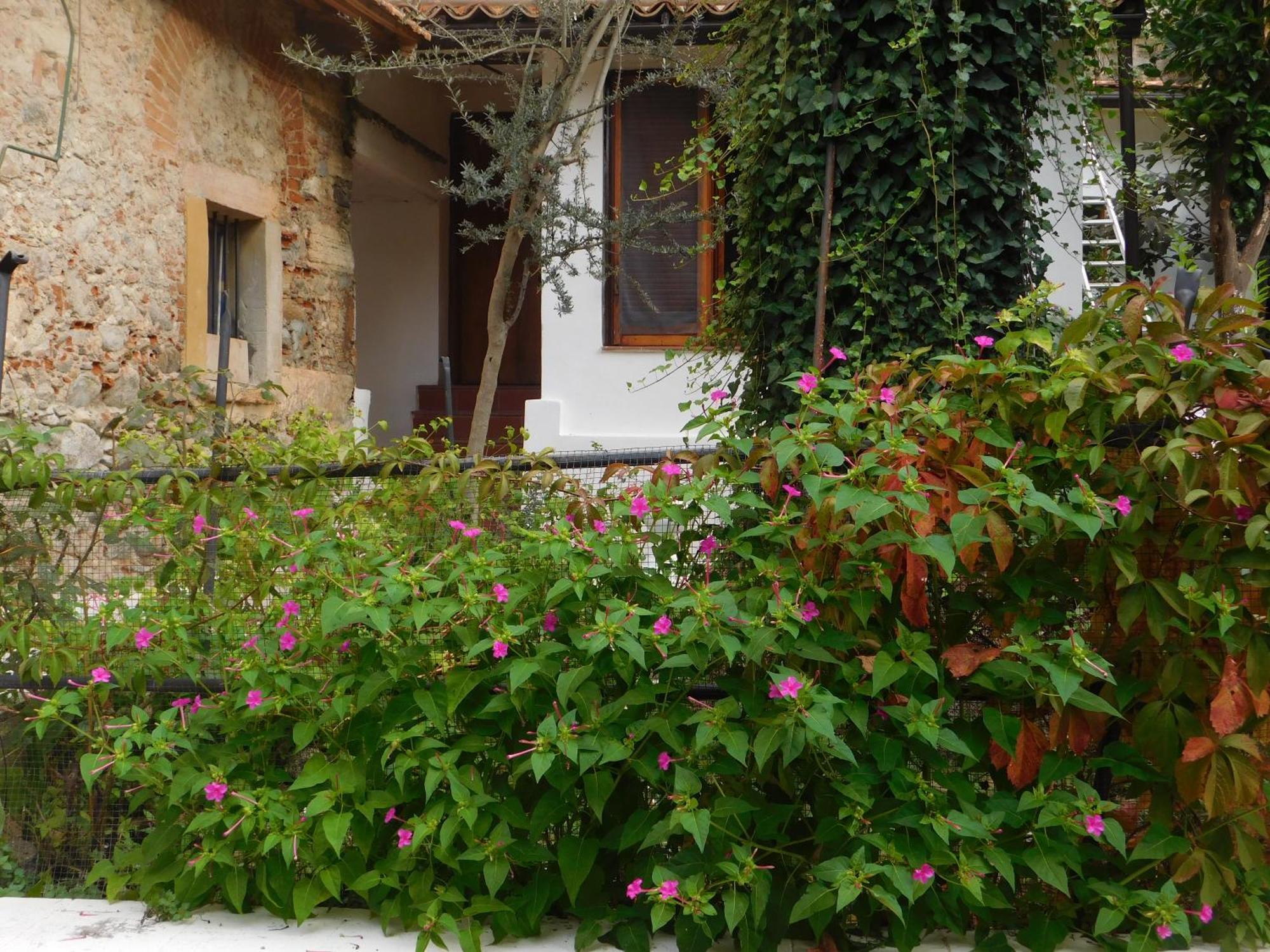 Old Garden Bed and Breakfast Cosenza Eksteriør billede